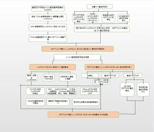 23個可編輯技術(shù)路線圖模板與繪制技巧: 涵蓋國自然9大熱點技術(shù)路線及貨物技術(shù)進(jìn)出口業(yè)務(wù)指導(dǎo)